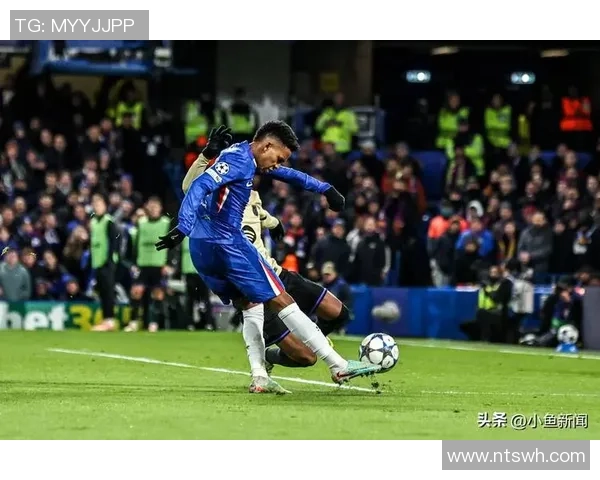 安帅：心里已有世界杯中心结构 具有埃斯特旺巴西未来就有保证